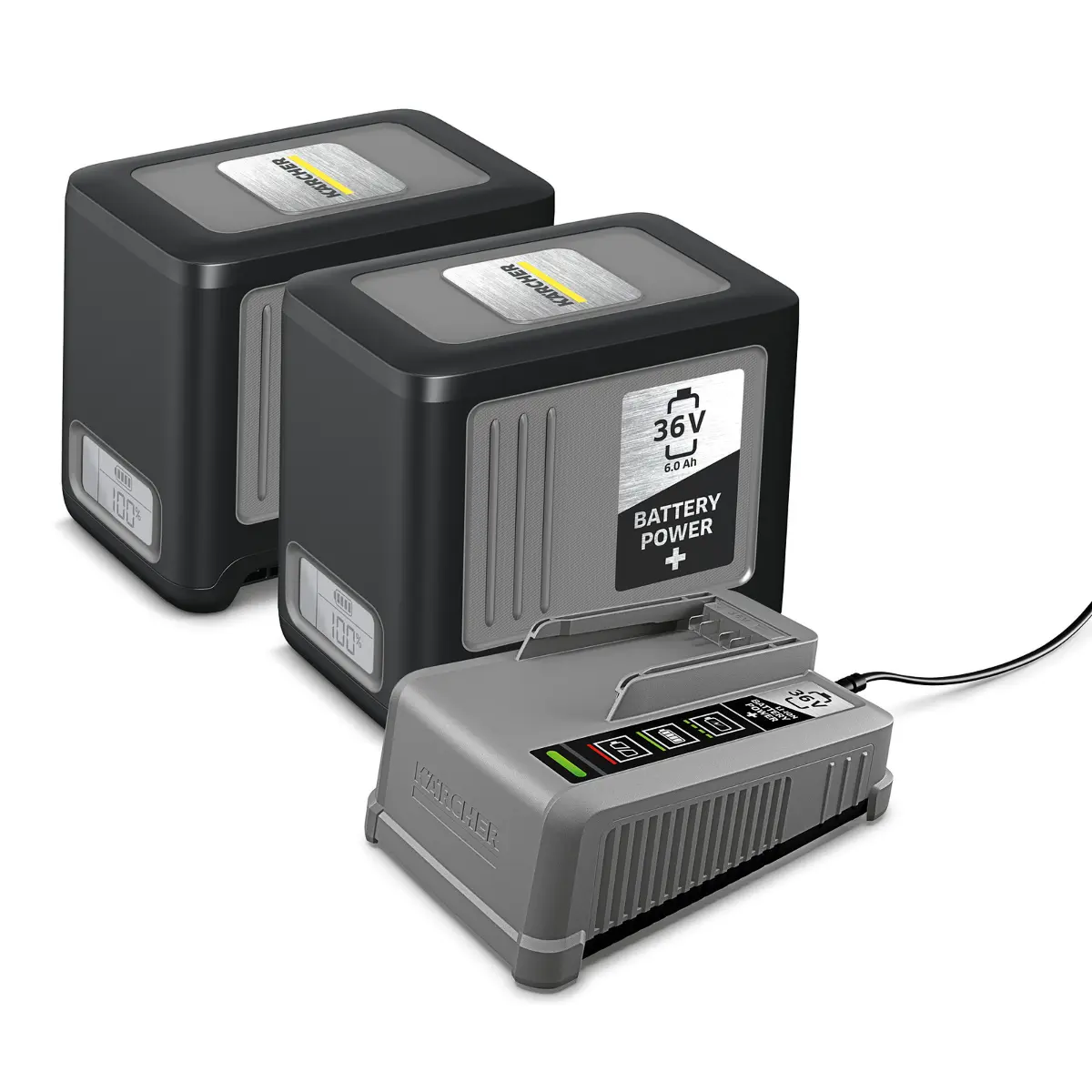 Starter Kit Battery Power+ 36/60 Starter Kit Battery Power+ 36/60