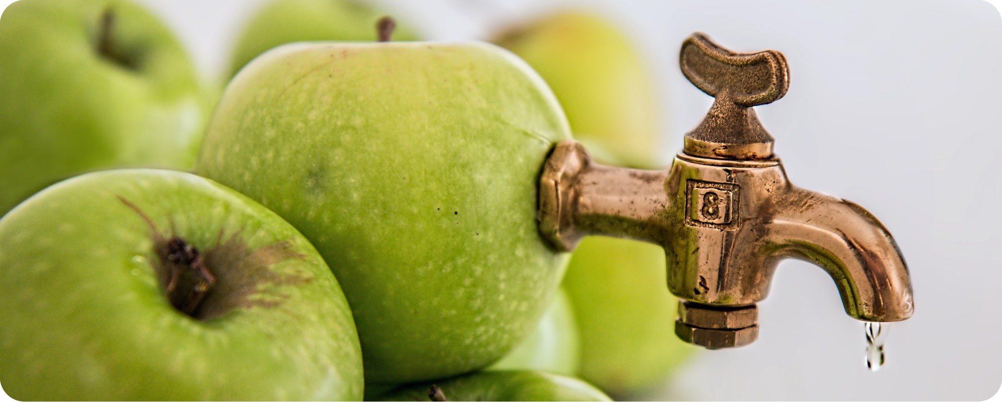 apfelsaft-selbstgemacht-der-weg-vom-obst-zum-saft apfelsaft-selbstgemacht-der-weg-vom-obst-zum-saft